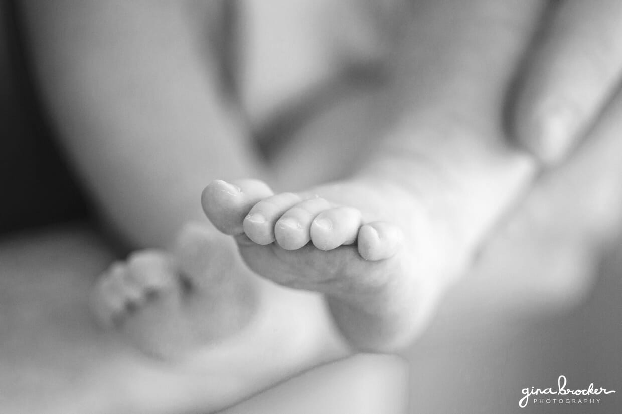 Detailed photograph of the babies feet during a family photo session at home in new england