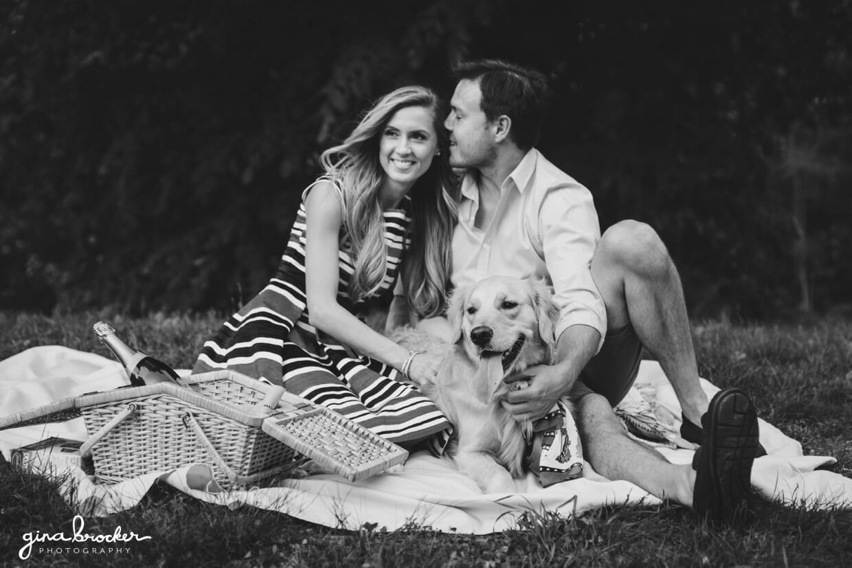 picnic engagement session with dog