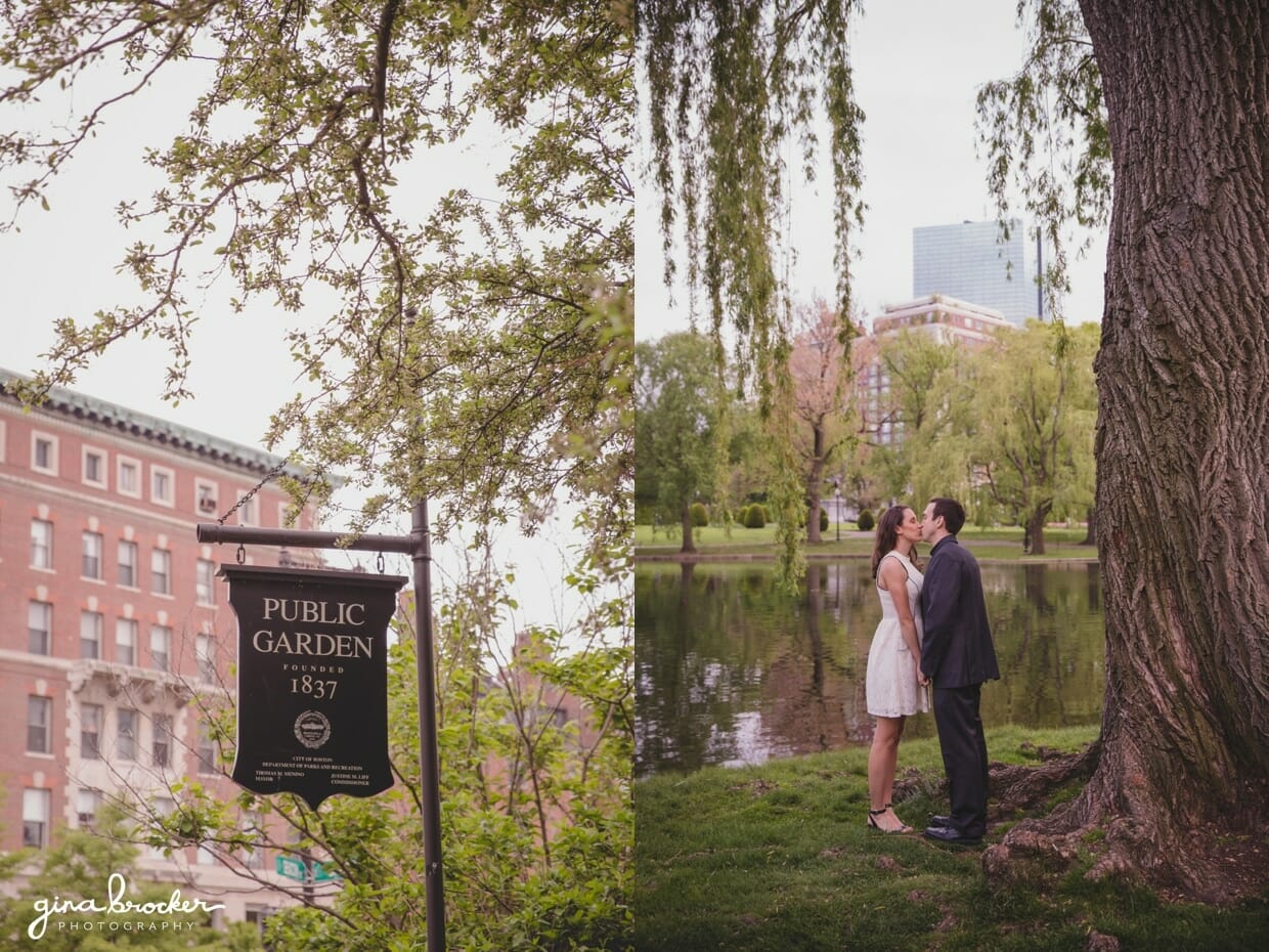 A couple kiss under a weeping willow tree during their engagement session in the Boston Public Gardens