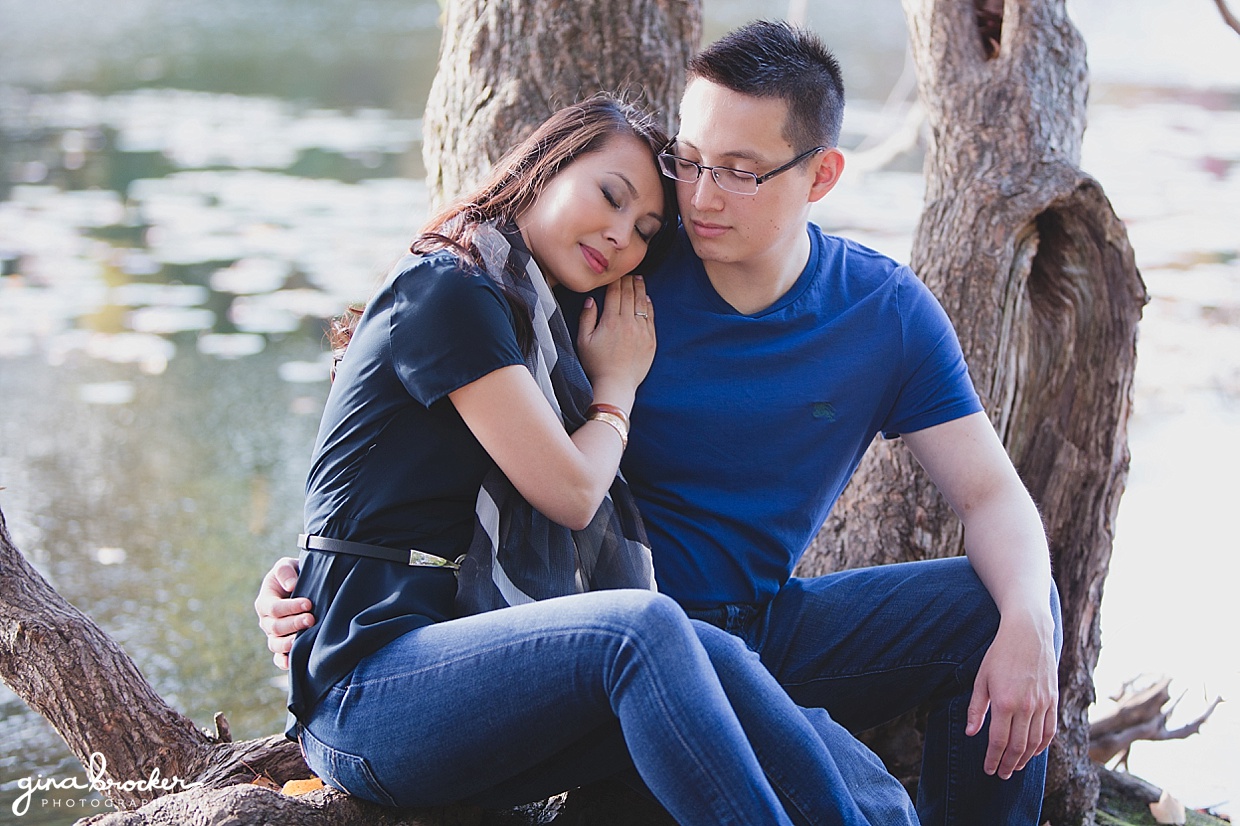 A couple sit on a tree trunk and cuddle during their fall engagement session in Newton, Massachusetts