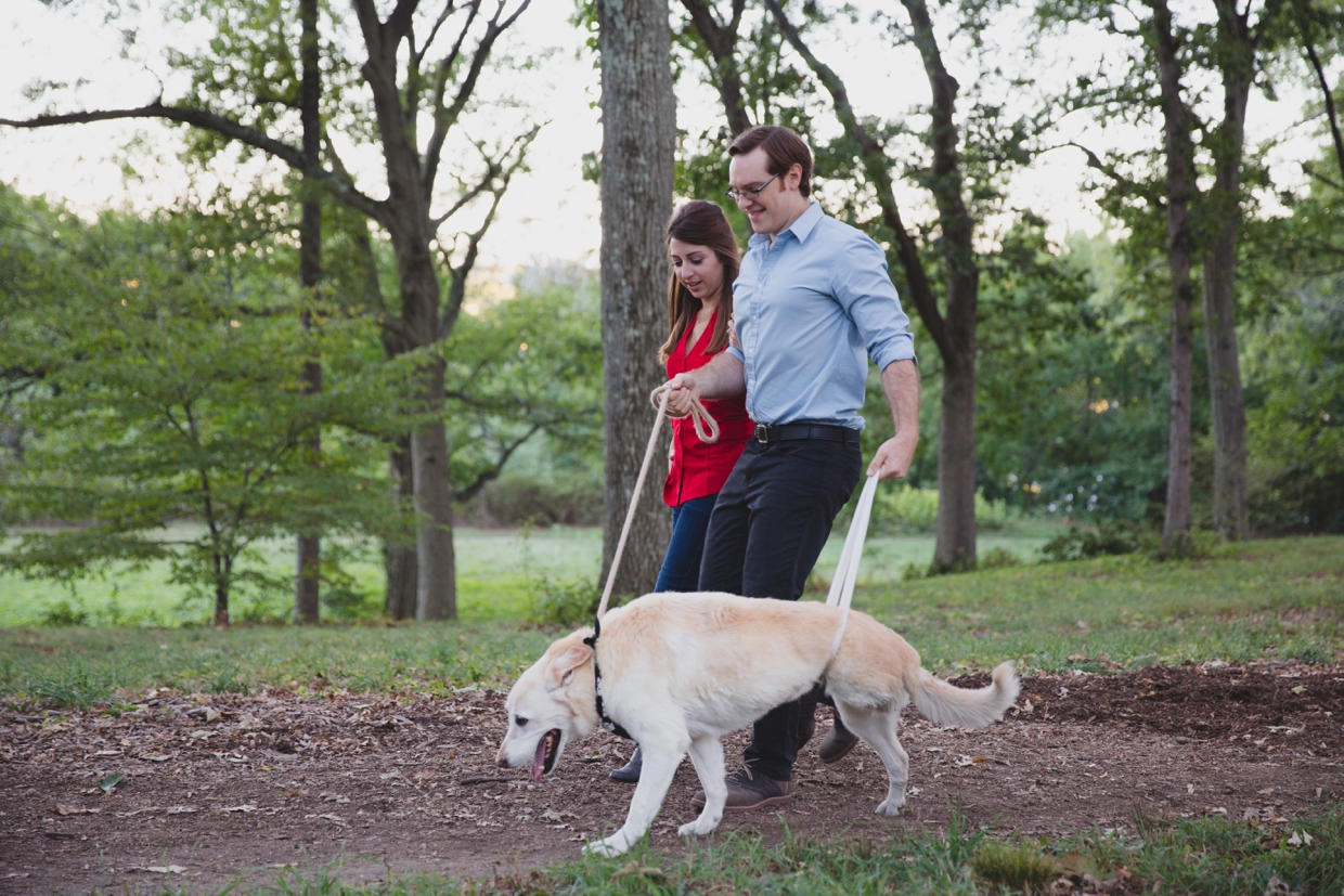 A couple walk their dog down the path at the Arnold Arboretum during their engagement session in Boston, Massachusetts