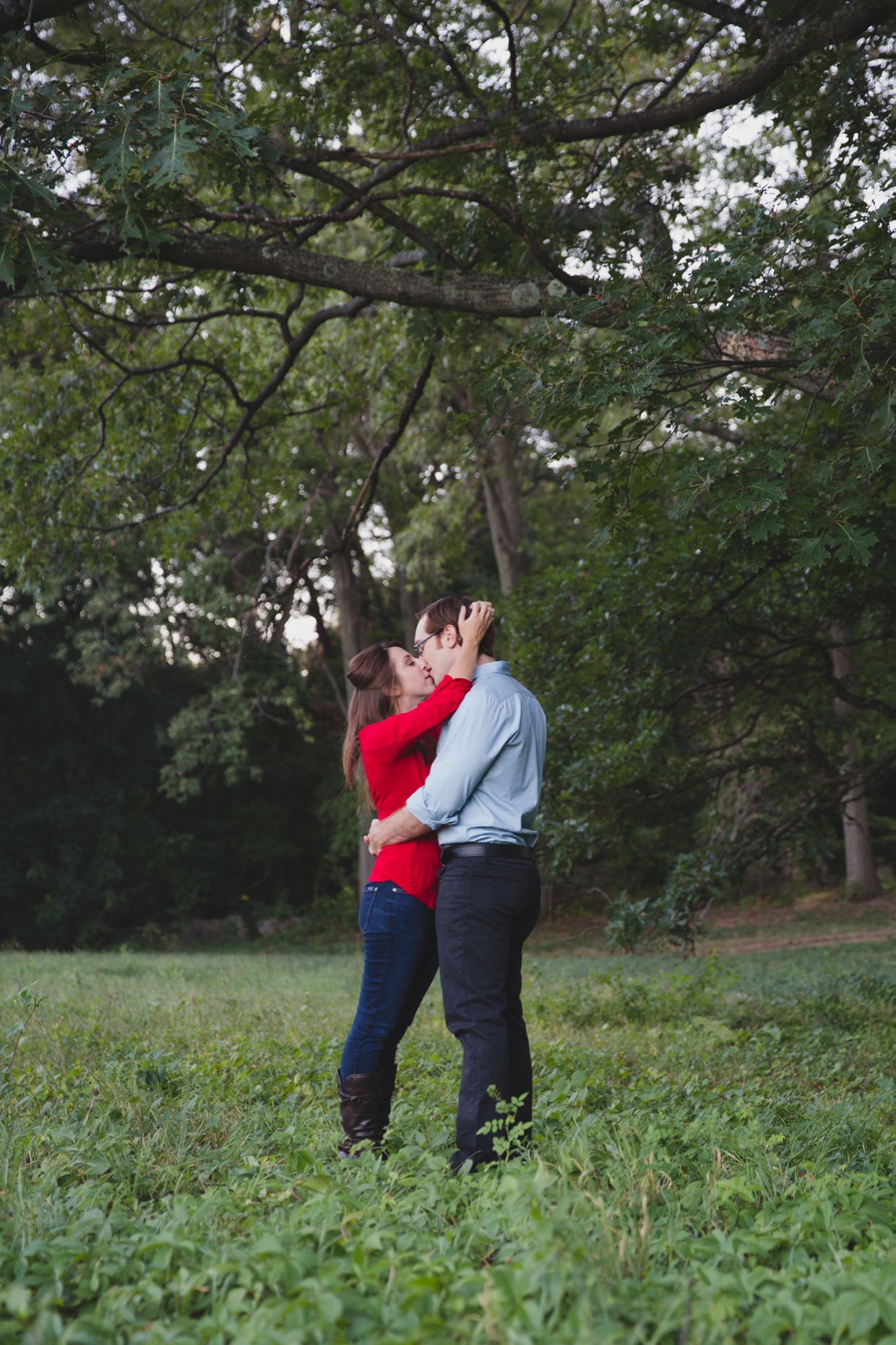 A sweet photograph of a couple kissing under a tree during their engagement session at the Arnold Arboretum in Boston, Massachusetts
