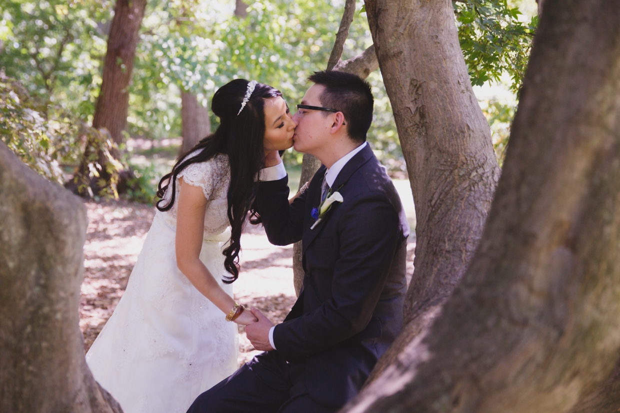 A bride and groom sit on a tree branch and share a kiss during their first look at the Arnold Arboretum