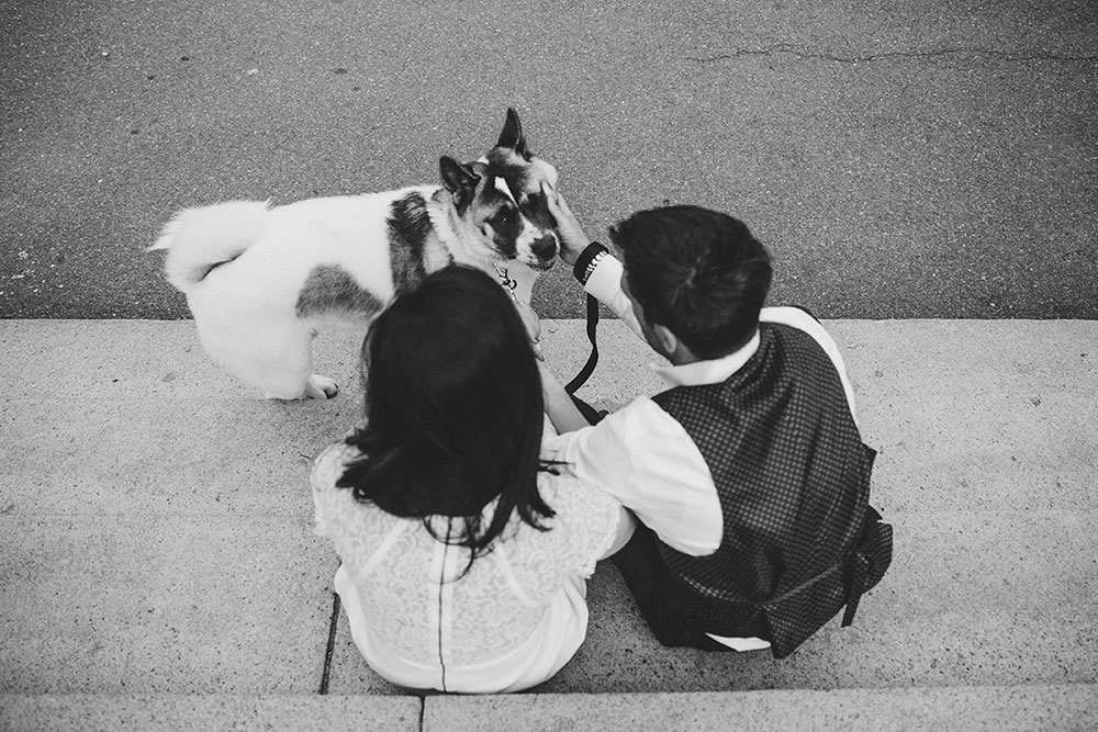 A documentary photograph of a couple petting their dog on the steps of the Boston Common during their Boston Engagement Session