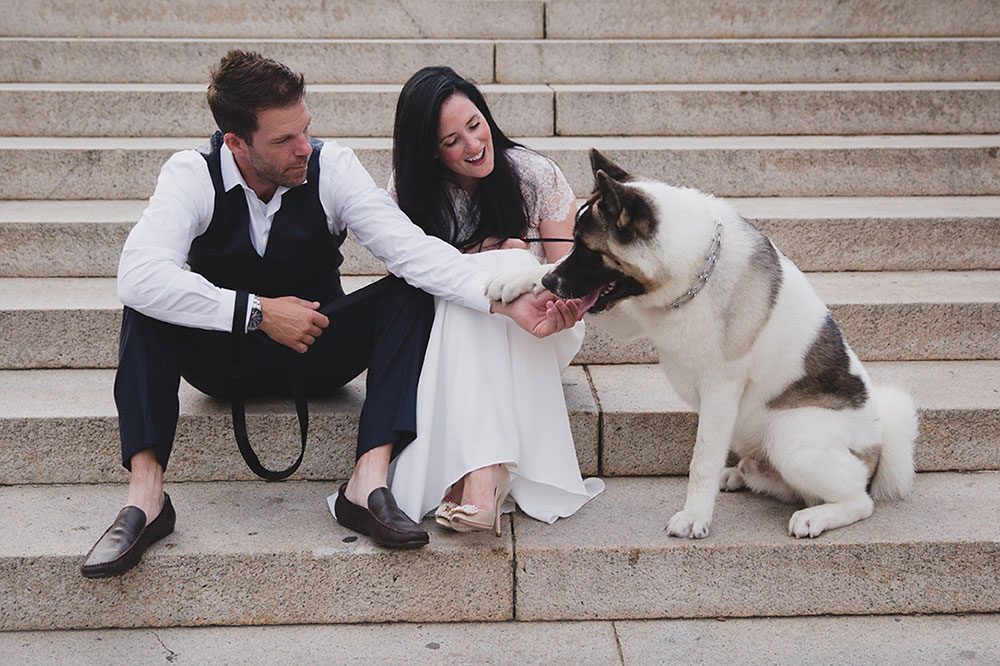 A documentary photograph of couple petting their dog as they sit on the steps of Boston Common during their Boston Engagement Session