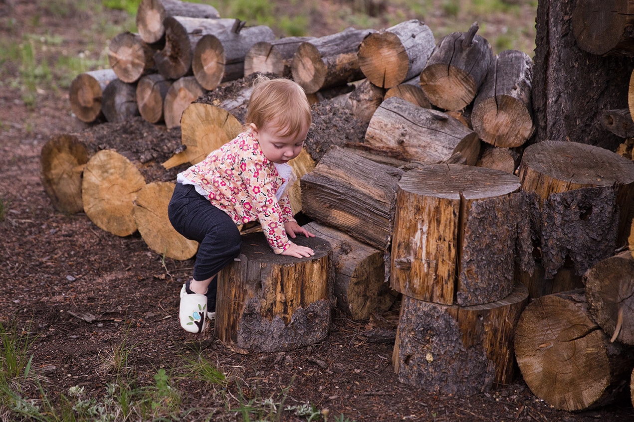 A lifestyle photograph of a toddler climbing on a tree trunk during an evergreen family session in Colorado