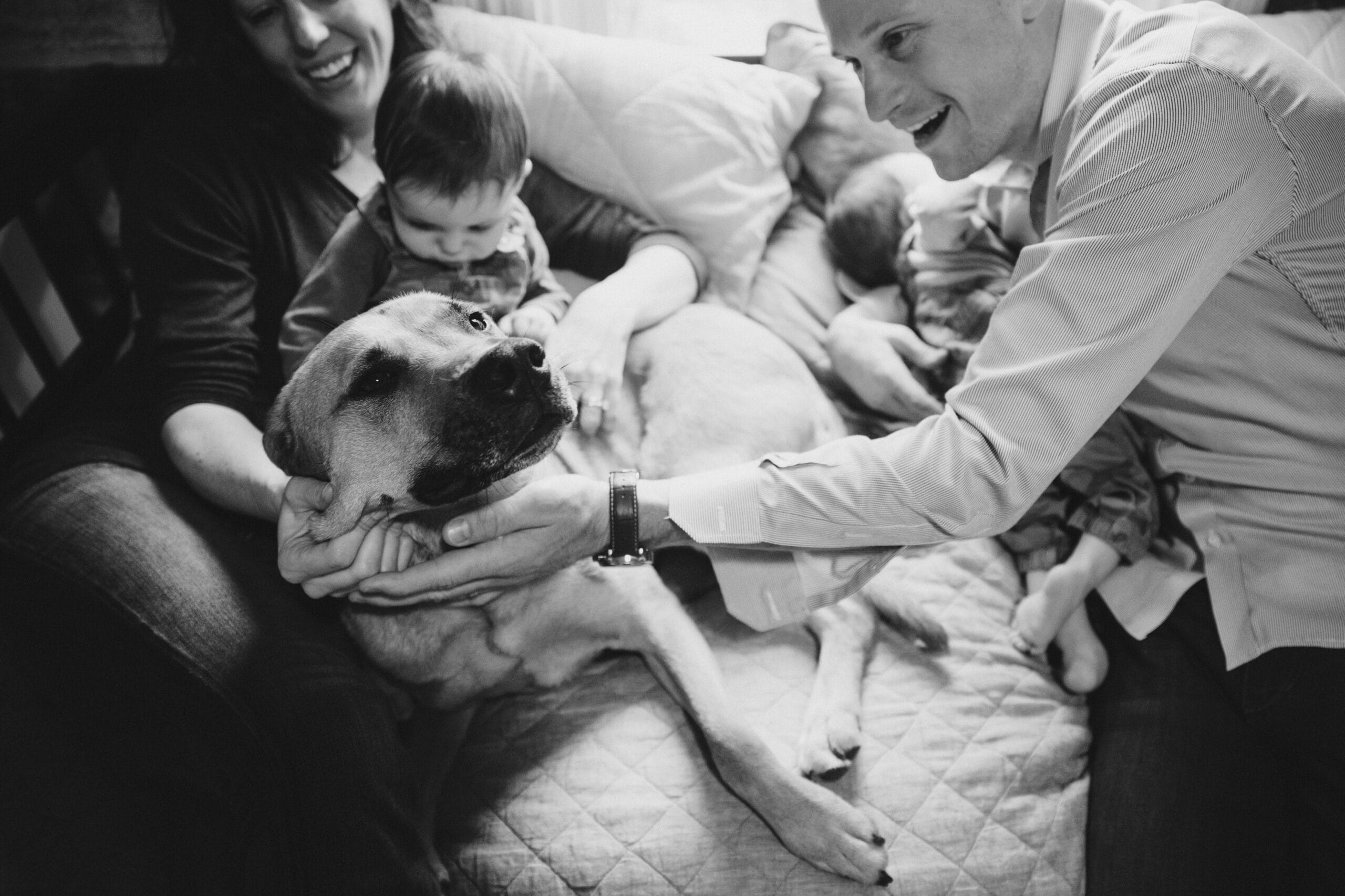 A documentary photograph of a family petting their dog during an in home family session in Boston, Massachusetts