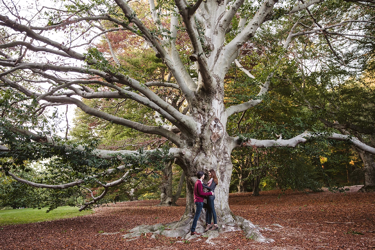 Arnold Arboretum Engagement Session | Boston Engagement Photo