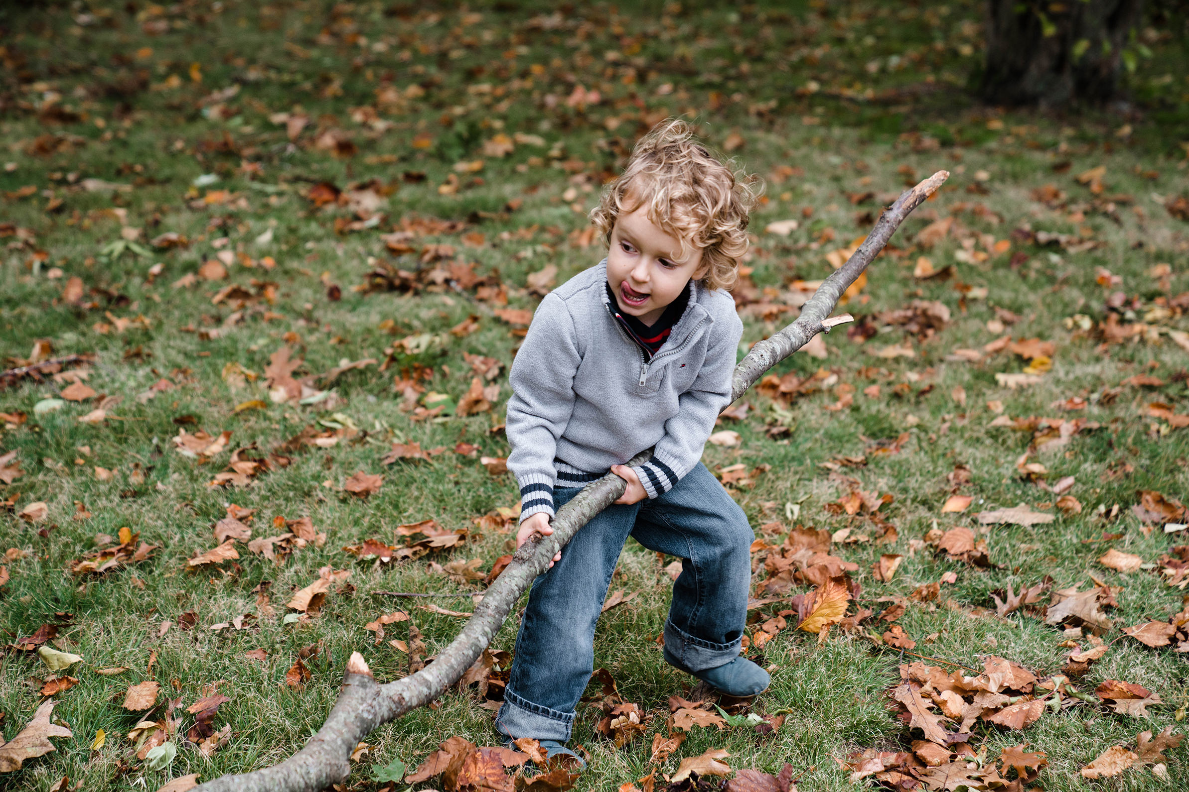 A best of Boston family photograph of a boy pulling a large stick during an Jamaica pond family session in Boston