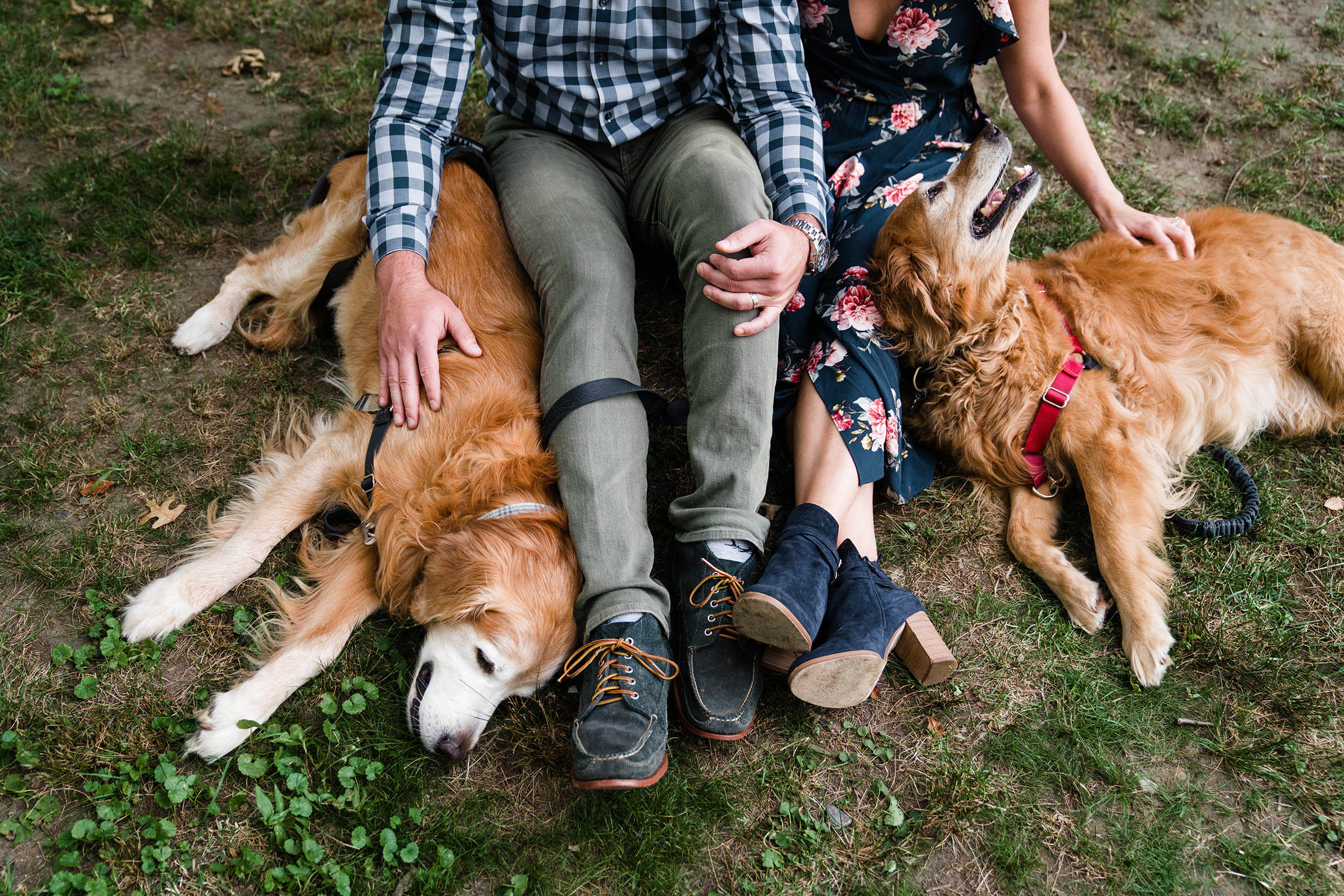 A documentary photograph of a couple petting their dogs during their Back Bay Fens engagement session in Boston