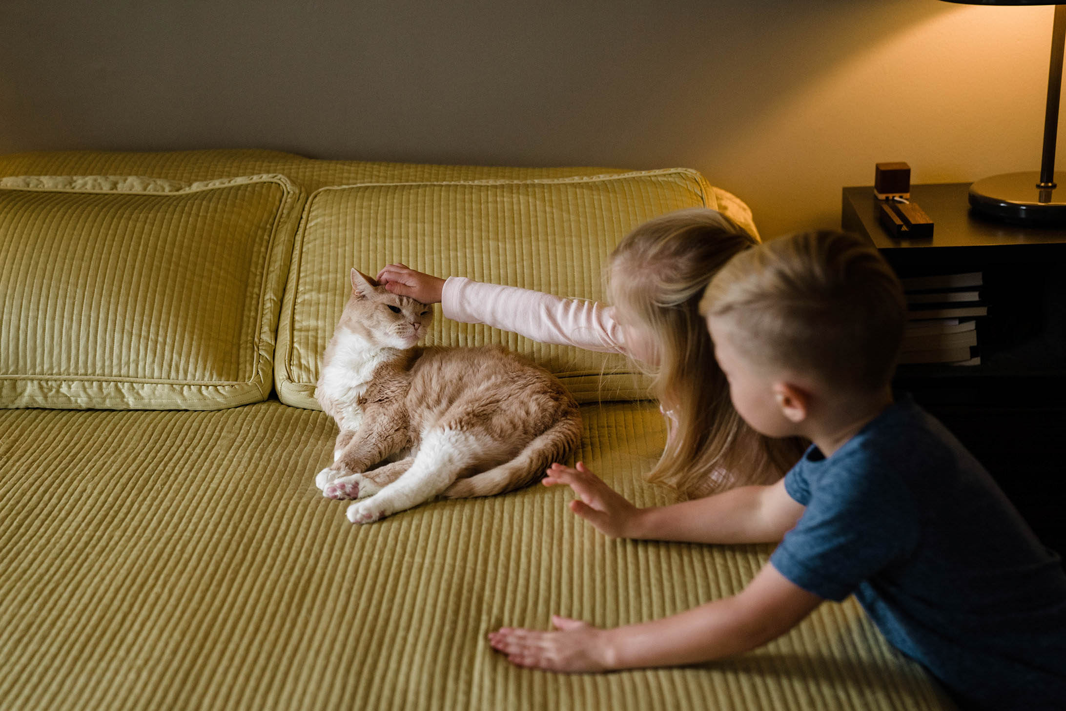 A documentary photograph of a brother and sister petting their cat during an in home family session in Boston's South End