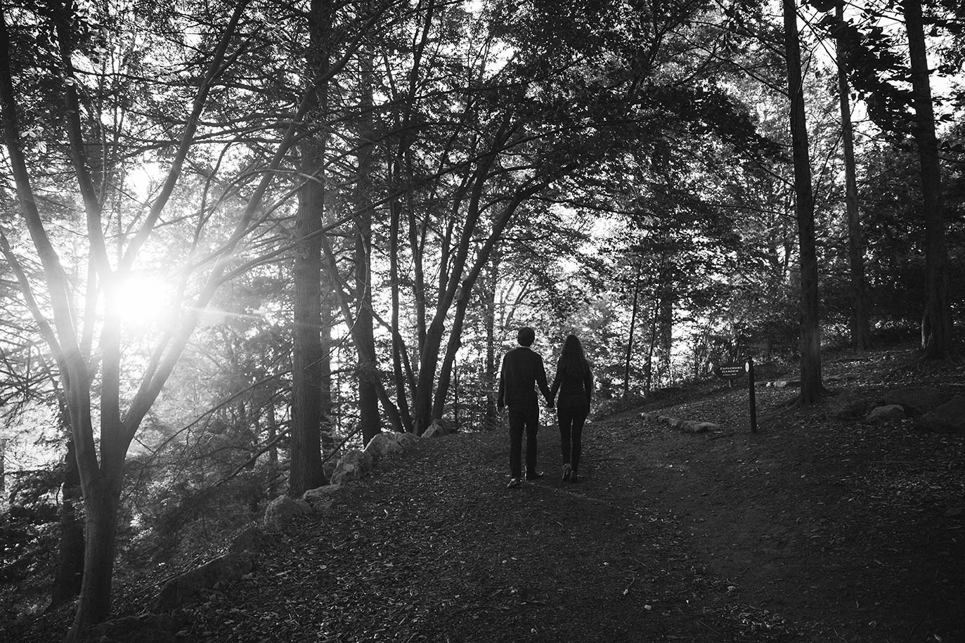 A documentary portrait of a couple walking through the Arnold Arboretum during their Boston engagement session