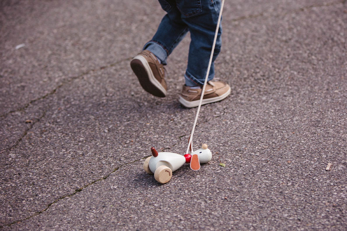 A documentary photograph of a boy pulling along his toy dog during a family session at the Arnold Arboretum in Boston