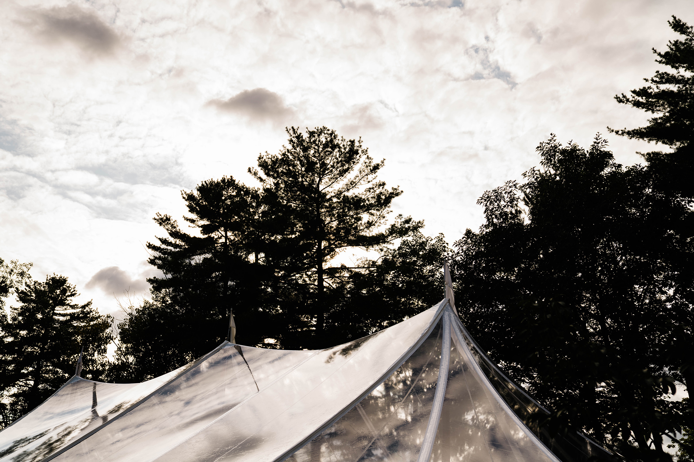 A documentary photograph featured in the best of wedding photography of 2019 showing a view of the wedding tent and the trees